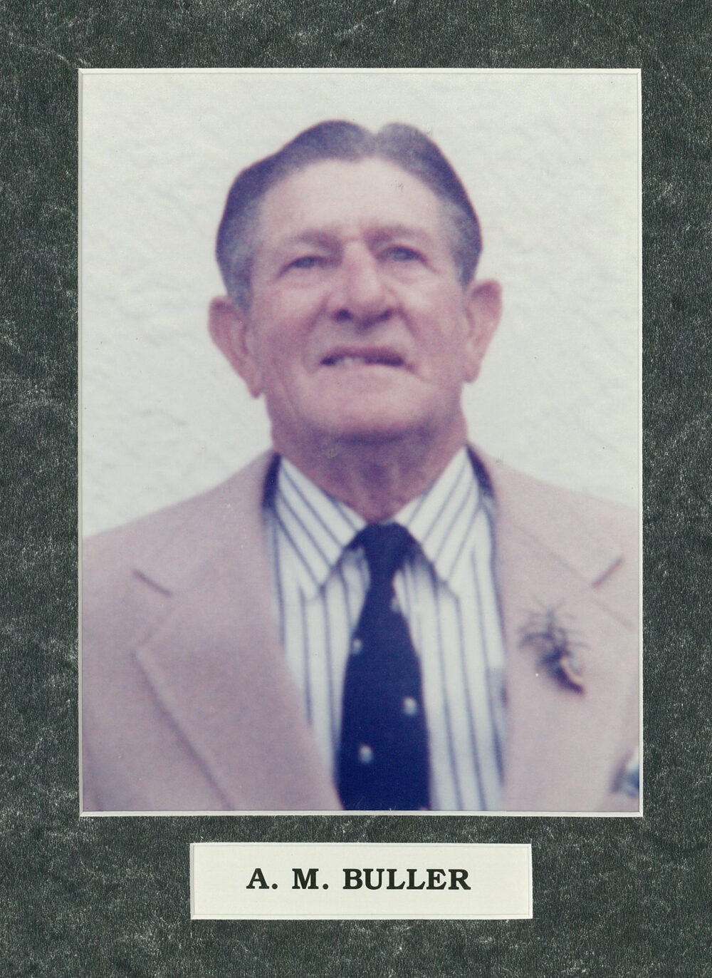A.M. Buller